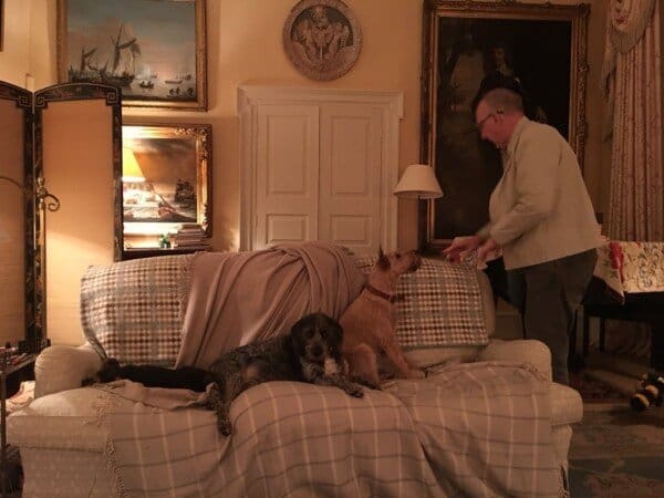 Pete Townshend and three of his dogs