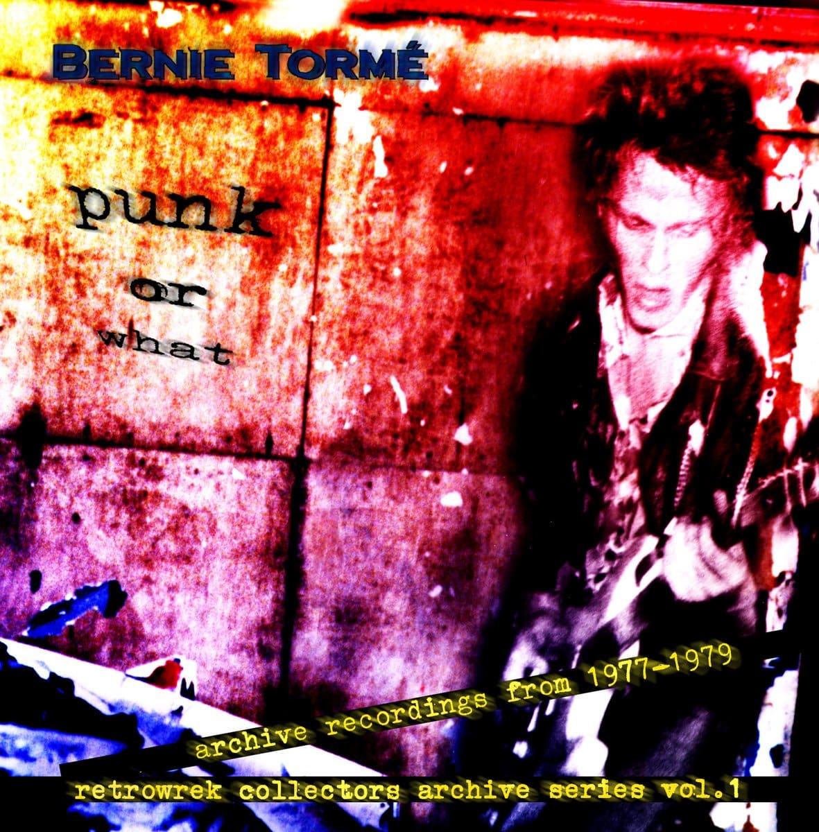 Cover of Bernie Tormé's "Punk of What" album